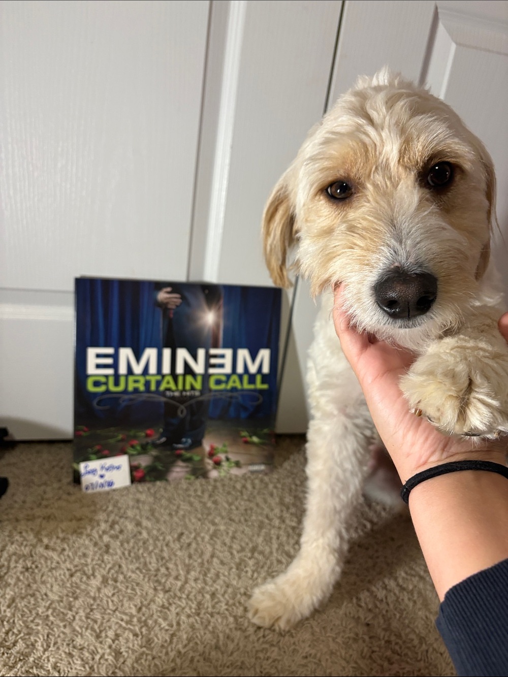 Eminem Curtain Call Vinyl Album - The Hits